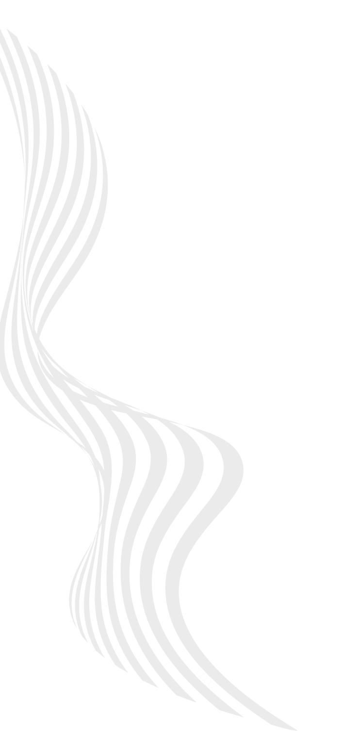 Team Background